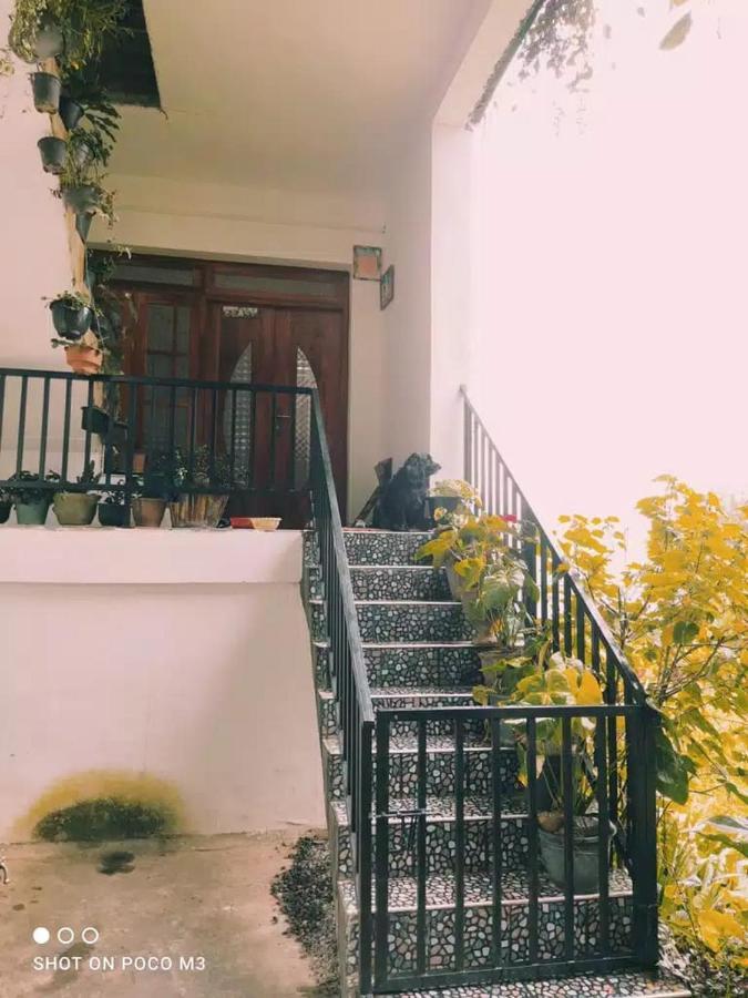La Rose Guest House Nuwara Eliya Exteriör bild