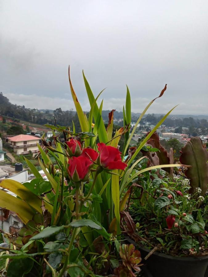 La Rose Guest House Nuwara Eliya Exteriör bild